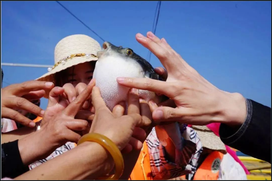 1690358063358503.png 微信图片_20230726150147.png