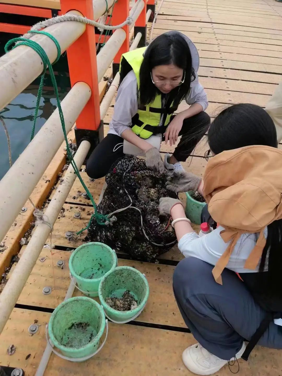 1690358459445688.jpg 640.jpg