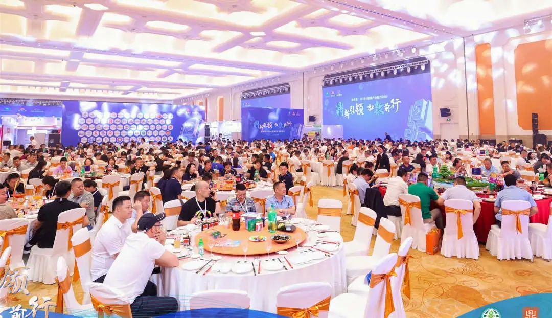 1716955008421398.jpg 640 (9).jpg