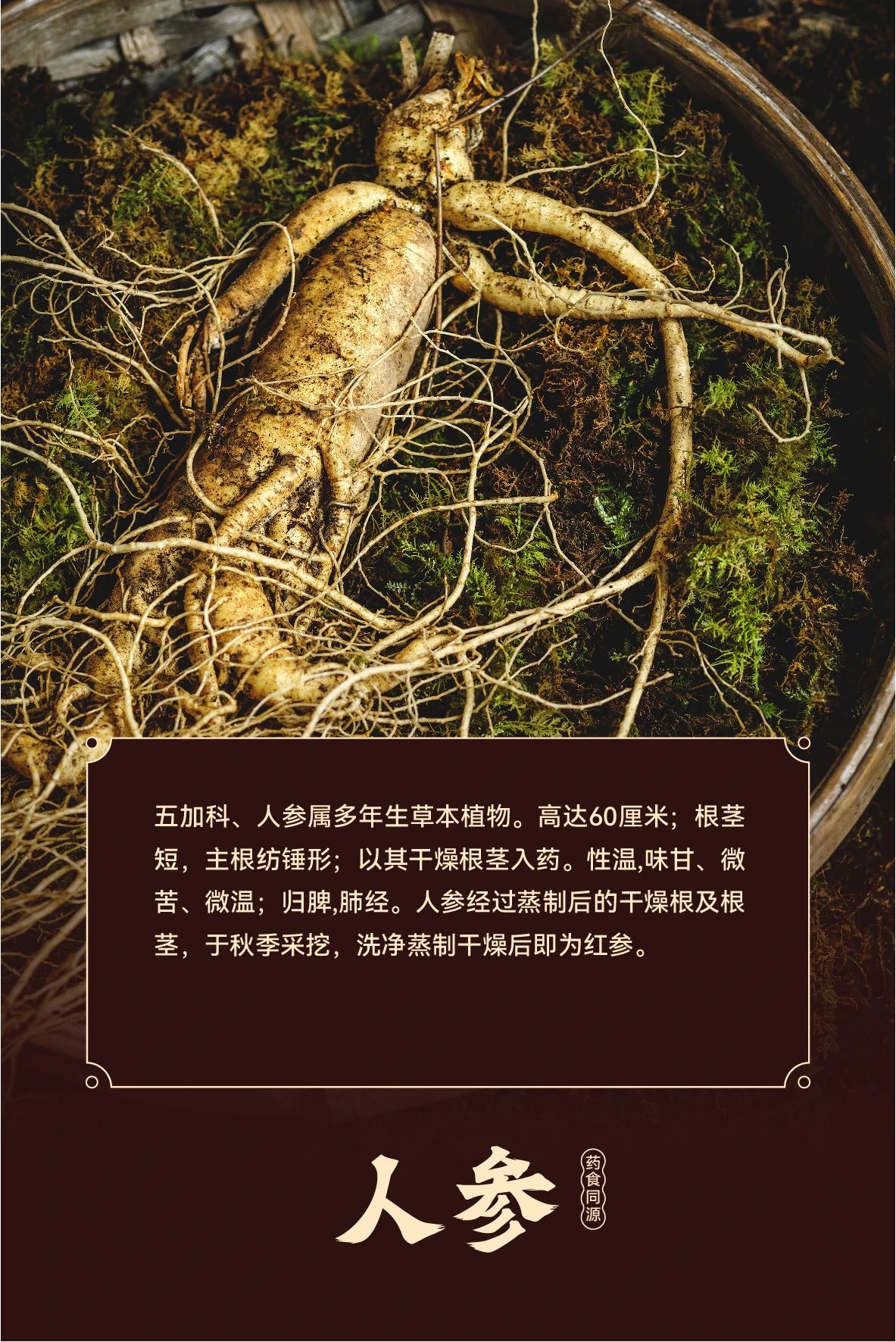 1732593811742984.jpg 微信图片_20241126115949.jpg