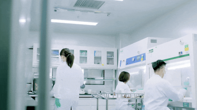 1733532950383454.gif 640 (2).gif