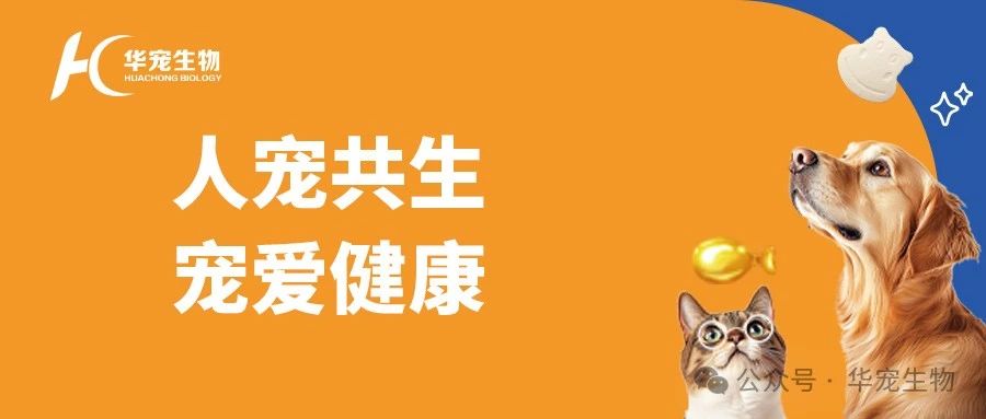 1742538075465814.jpg 微信图片_20250321110152.jpg