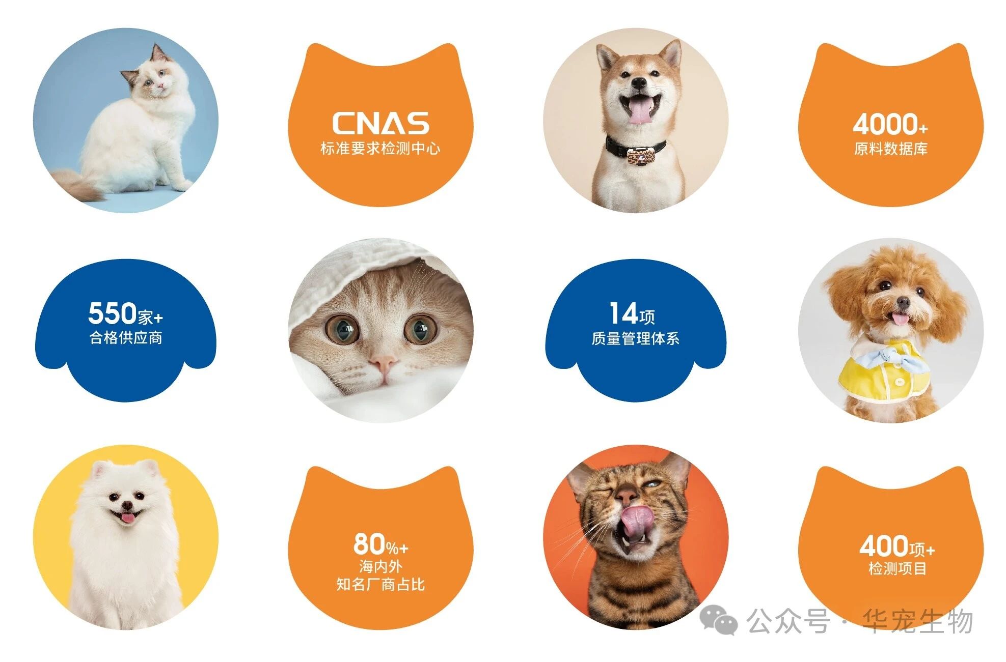 1742538160418477.jpg 微信图片_20250321110157.jpg