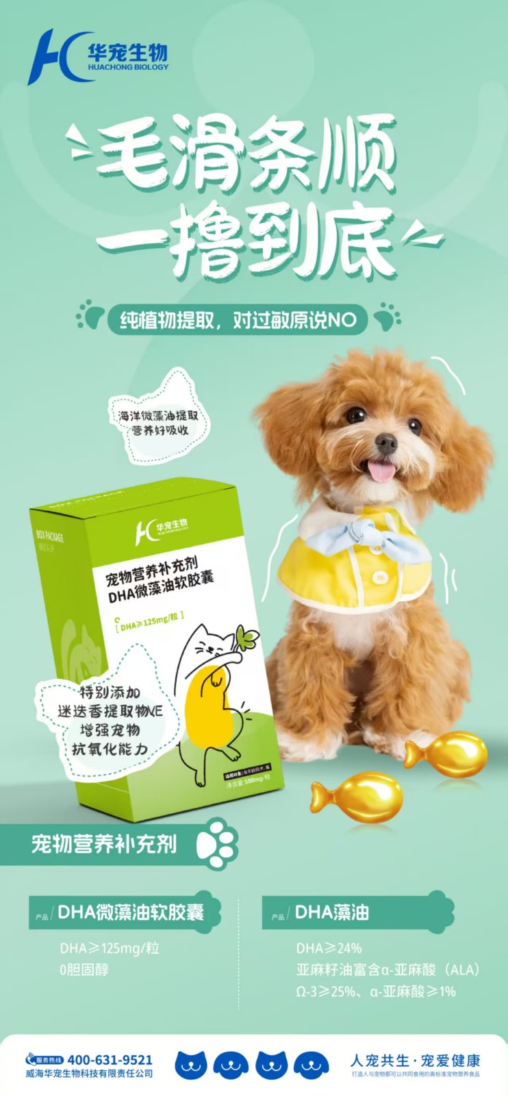 1743391794859247.jpg DHA微藻油软胶囊.jpg