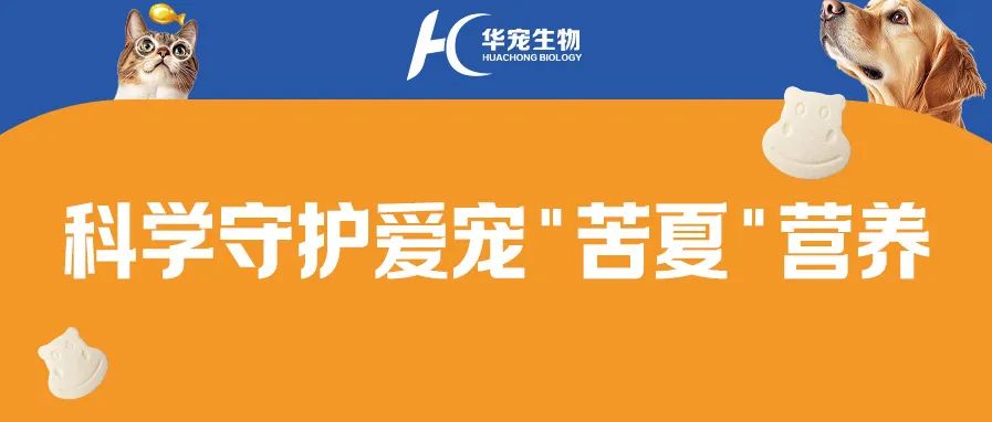 1748231092756987.jpg 微信图片_20250526112744.jpg